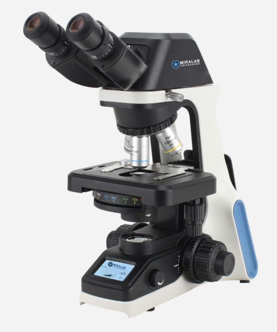 WhatsApp Image 2025-08-19 at 2.17.07 PM